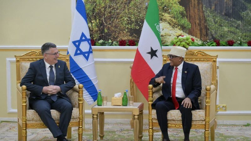 Two men in suits sit in ornate gold chairs facing each other, conversing, with Israeli and Somaliland flags displayed behind them in a formal room.