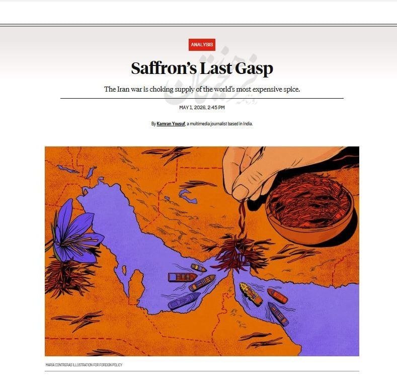 A graphic illustration shows a hand pinching saffron threads from a bowl, with boats navigating purple waters and a blue butterfly among scattered saffron strands.