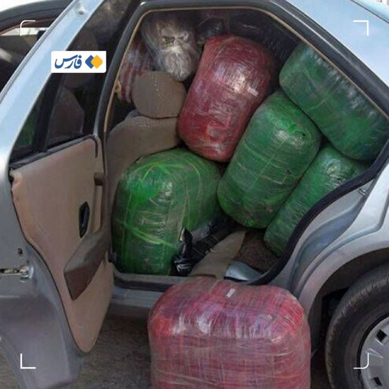 Multiple large red and green plastic-wrapped bundles are tightly packed inside the open rear door of a car, with one red bundle resting on the ground.