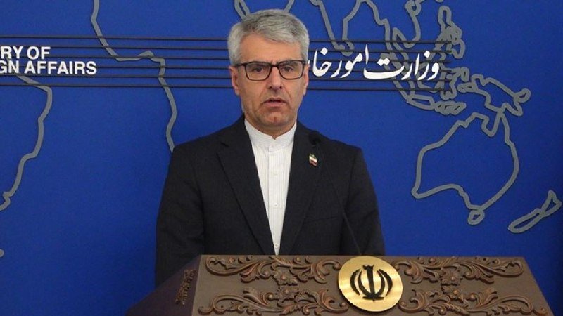 A gray-haired man in a dark suit and white shirt speaks at an ornate wooden podium bearing a national emblem, against a blue backdrop displaying a world map and Foreign Ministry text.