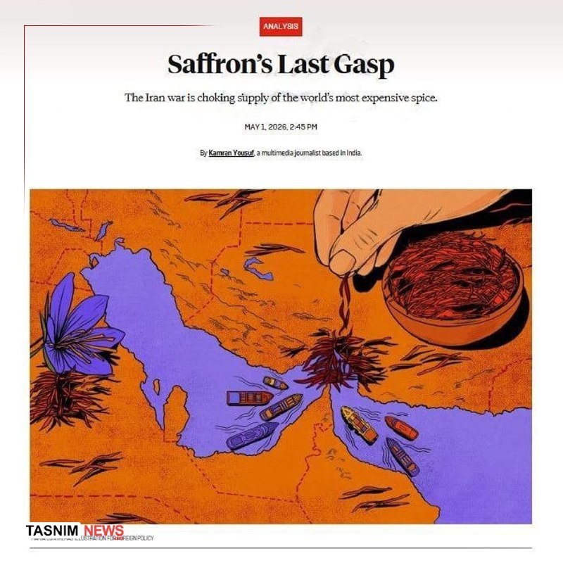 Illustrated article header titled "Saffron's Last Gasp" shows a hand dropping saffron threads into a bowl, with a purple flower, boats, and scattered saffron strands over an orange map.