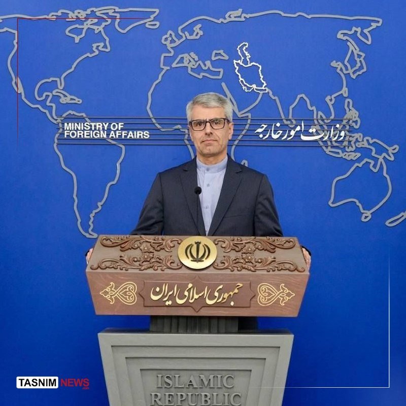 A gray-haired man in a dark suit and glasses stands at an ornate wooden podium featuring the Iranian emblem, against a blue backdrop displaying a world map and "Ministry of Foreign Affairs" text.