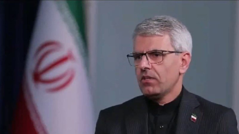 A gray-haired man wearing glasses and a dark suit speaks during an interview, with an Iranian flag visible in the background.