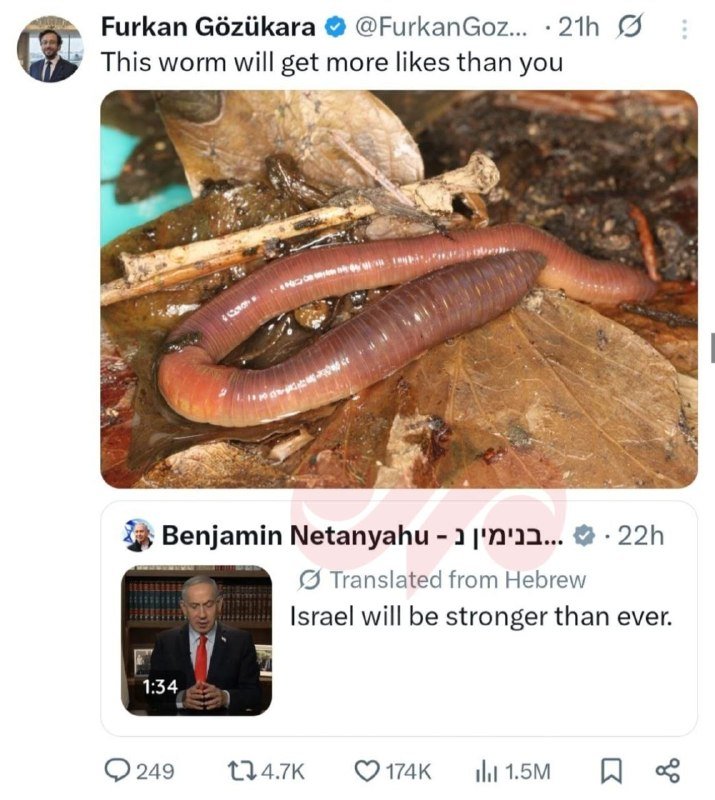 A screenshot of a social media post showing an earthworm on wet leaves, with a comment containing an embedded video thumbnail of a man at a podium.