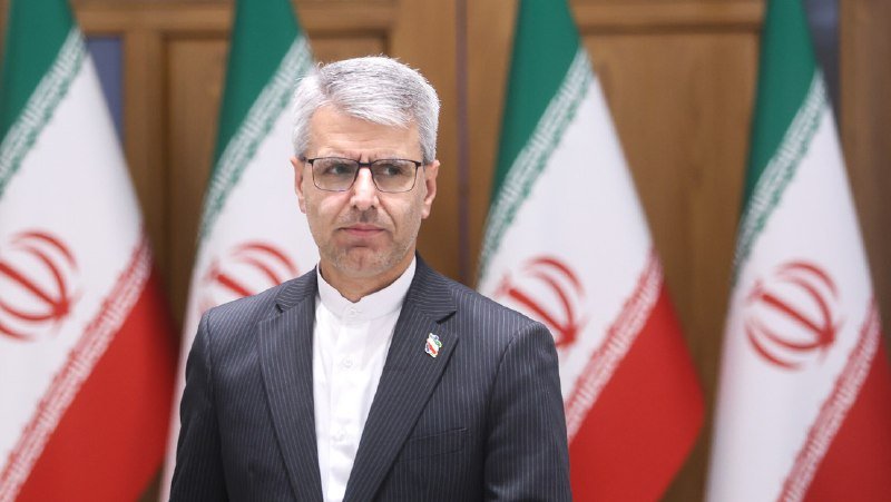 A gray-haired man wearing glasses, a dark suit, and a small flag lapel pin stands in front of multiple Iranian flags.