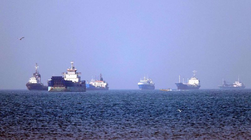 Multiple large cargo ships are anchored in a hazy, gray-blue sea under an overcast sky, with a single bird flying in the upper left.