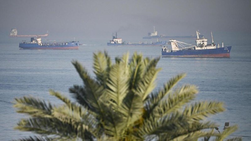 Multiple cargo ships and tankers are anchored on calm, hazy waters, viewed past the green fronds of a palm tree in the foreground.