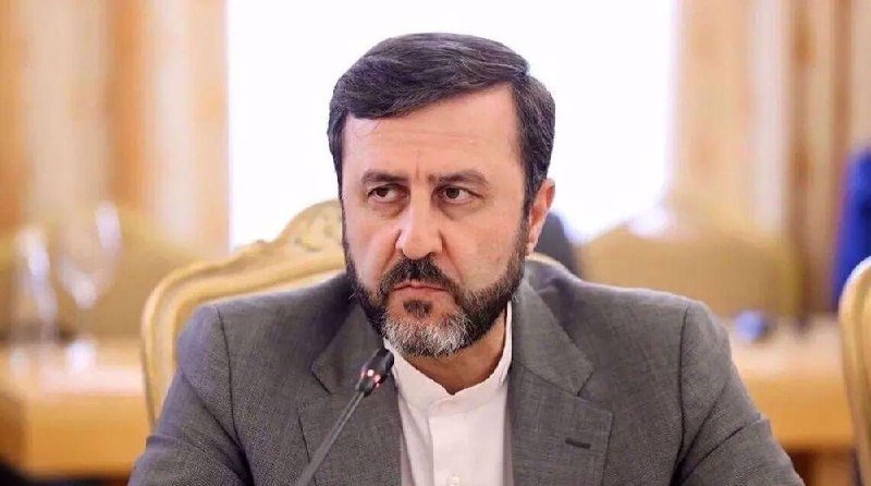 A bearded man in a gray suit sits before a microphone at a table in an ornate, formally decorated room.