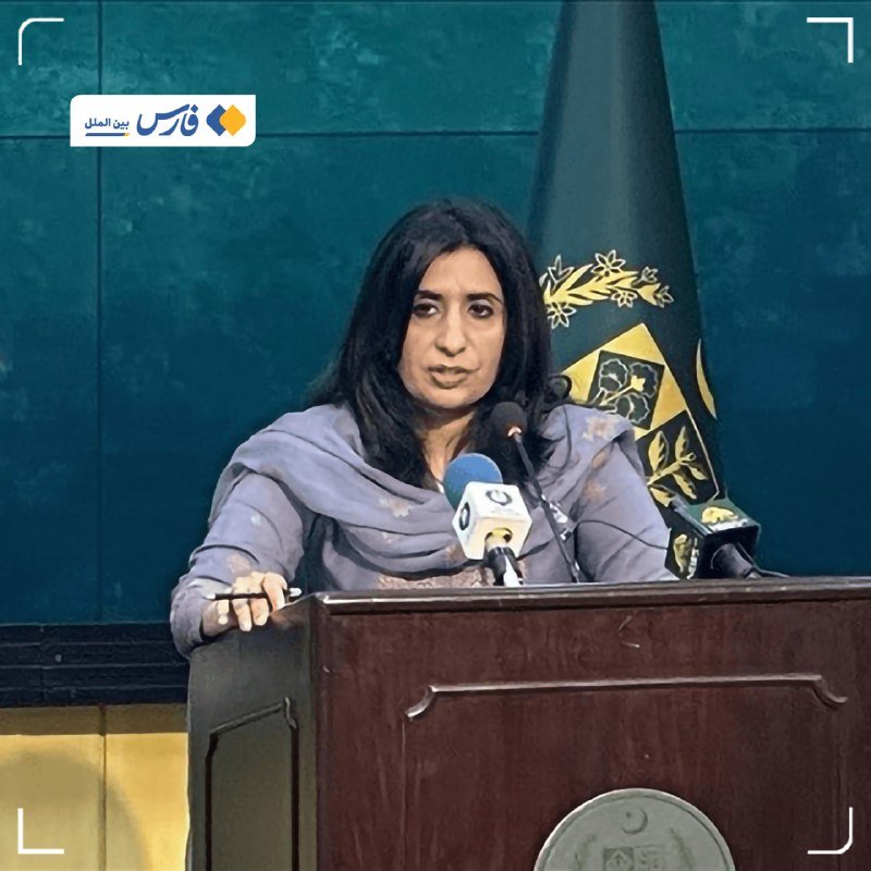 A woman with long dark hair speaks at a wooden podium with microphones, a flag bearing a green and gold emblem visible behind her.