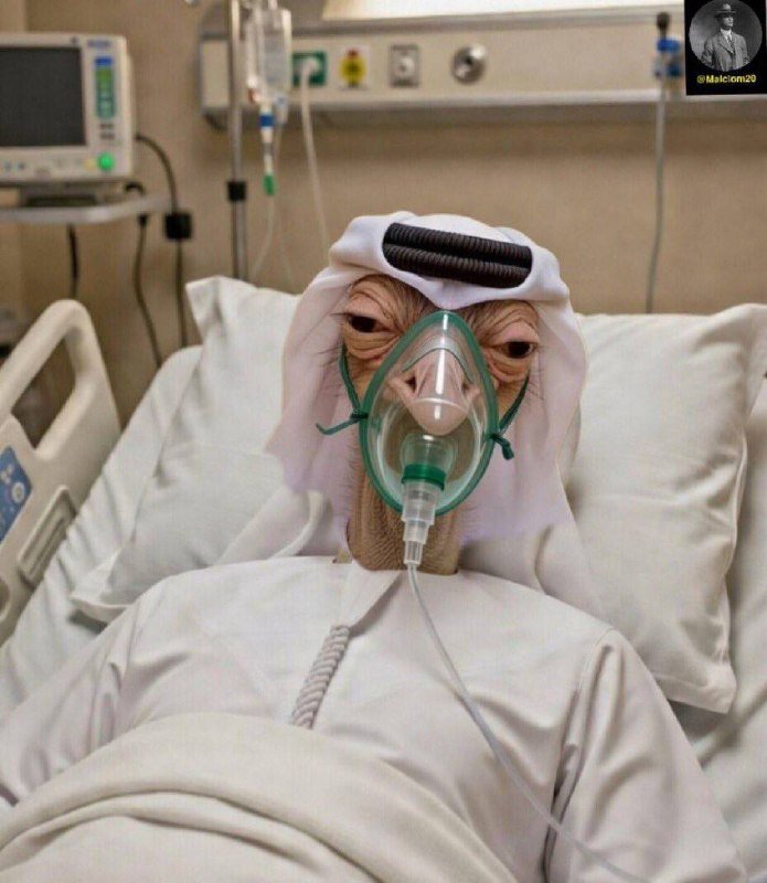 A digitally edited image shows a digitally rendered character with a snout wearing a white head covering and oxygen mask, lying in a hospital bed with medical equipment visible in the background.