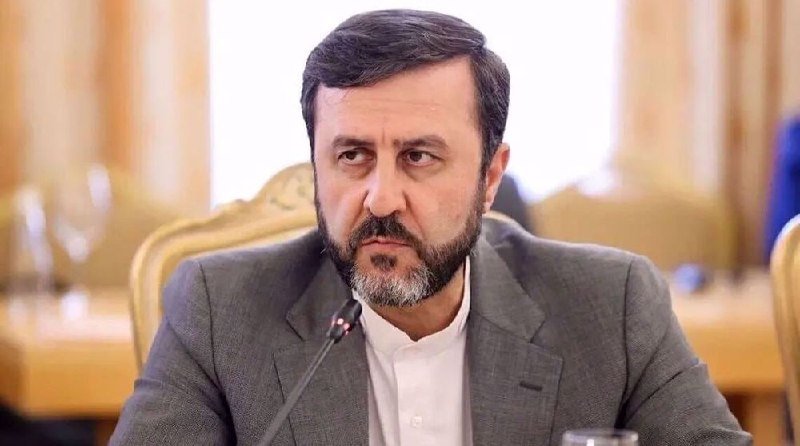 A bearded man in a gray suit and white shirt speaks into a microphone during a formal meeting in an ornately decorated room.