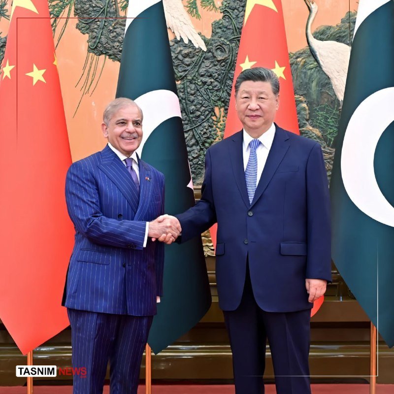 Two men in suits shake hands in front of Chinese and Pakistani flags, with an ornate crane mural behind them.
