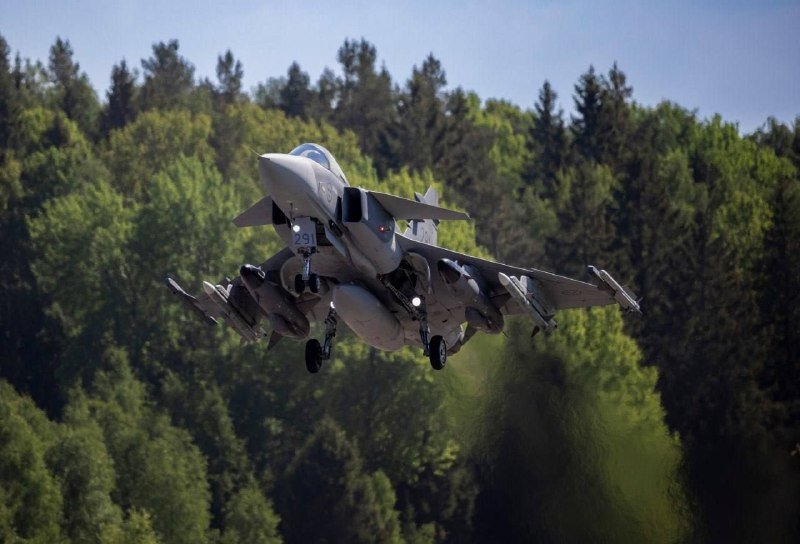 A gray fighter jet marked "291" flies low over a dense green forest with its landing gear extended.