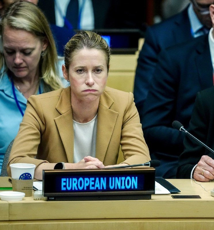 A woman in a tan blazer sits at a conference table behind an illuminated "EUROPEAN UNION" placard, with microphones and other attendees visible nearby.