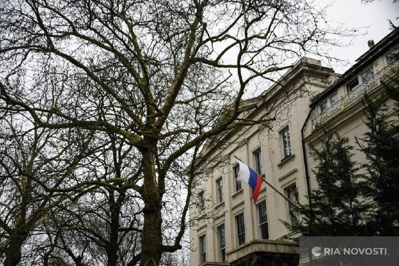 A light-colored stone building displays a Russian flag on its facade, viewed through bare tree branches under a gray sky, with a "RIA Novosti" watermark visible.