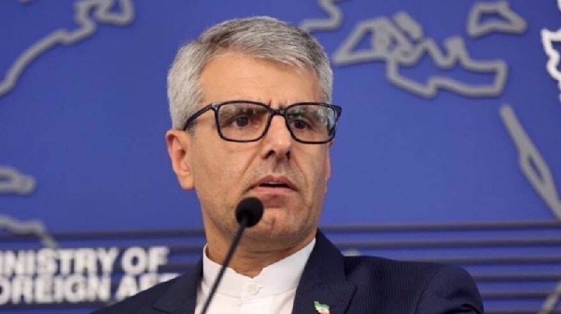 A gray-haired man wearing glasses and a suit speaks into a microphone in front of a blue backdrop reading "MINISTRY OF FOREIGN AFFAIRS."