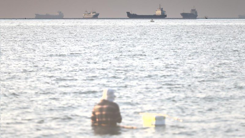 A person in a plaid shirt and cap wades in shallow ocean water near a white bucket, with large cargo ships visible on the distant horizon.