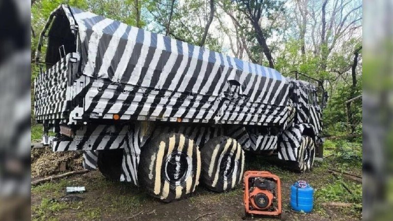 A large truck painted in black-and-white zebra stripes sits in a wooded area, with an orange generator and blue fuel can placed on the ground beside it.