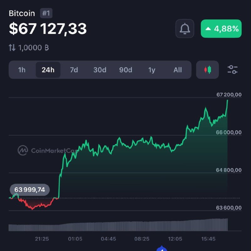 A digital cryptocurrency price chart displays Bitcoin priced at $67,127.33, showing a 4.88% increase on a 24-hour line graph with a CoinMarketCap watermark.