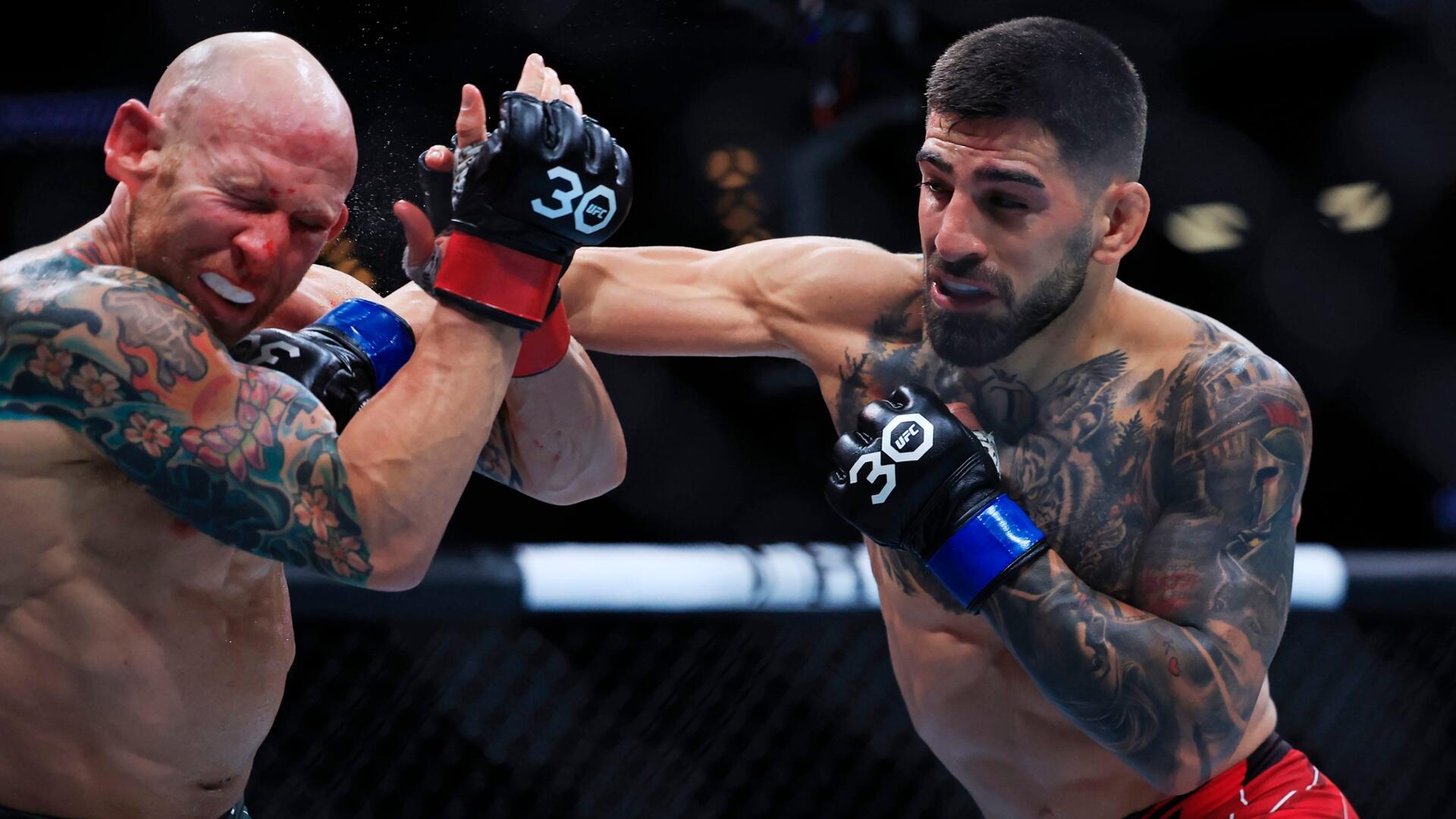 UFC Freedom 250 lands at the White House on Sunday with an FBI-disrupted plot, a tornado watch, and a prediction-market economy that priced the card weeks before the first bell.