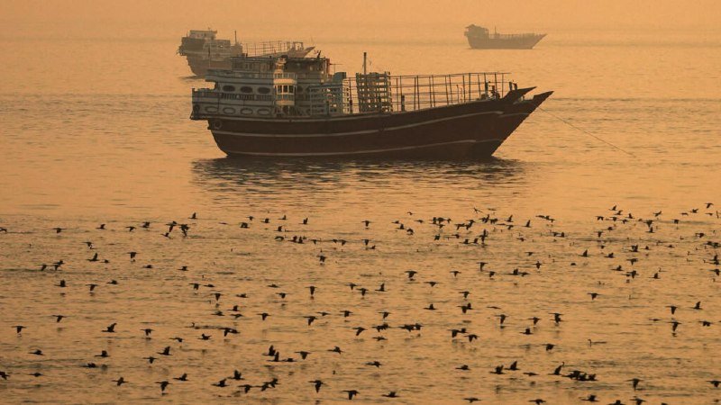 Two wooden boats float on calm water at sunset while a large flock of birds gathers on the surface below them.