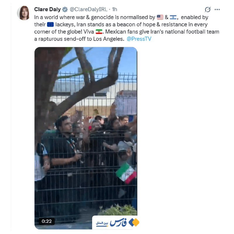 A screenshot of a tweet by Clare Daly features a video still showing a crowd of people behind a metal fence, with one holding an Iranian flag and waving.