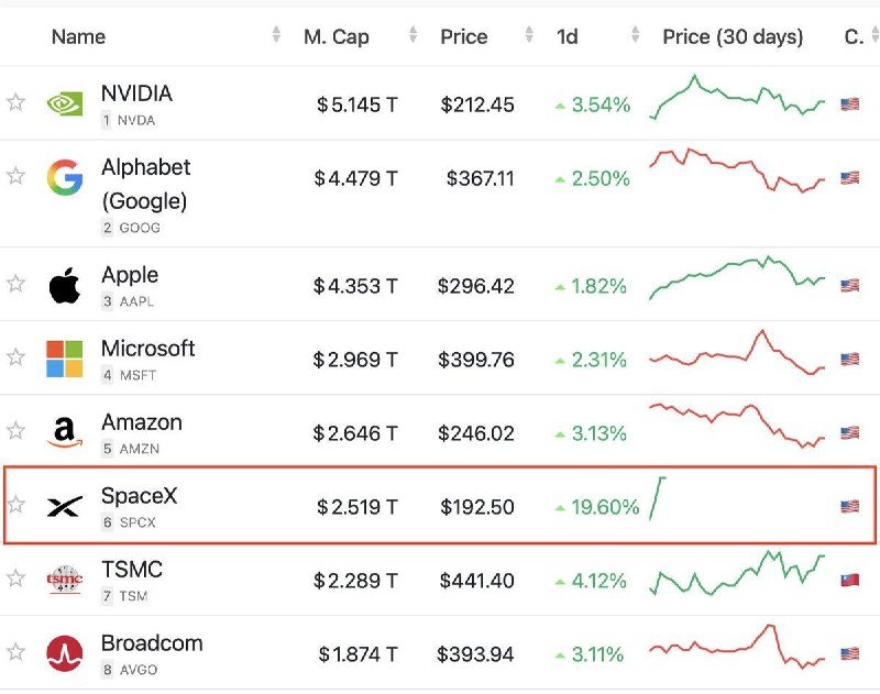 Screenshot of a financial ranking list showing SpaceX highlighted with a 19.60% daily gain at $192.50 and a $2.519 T market cap.