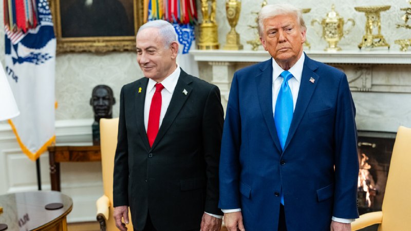 A split image shows three men: a blonde-haired man in a suit clenching his fist, a smiling bearded man wearing a "ABELARDO PRESIDENTE" cap speaking into microphones, and a bespectacled man in a gray jacket speaking at a podium beside a yellow, blue, and red flag.