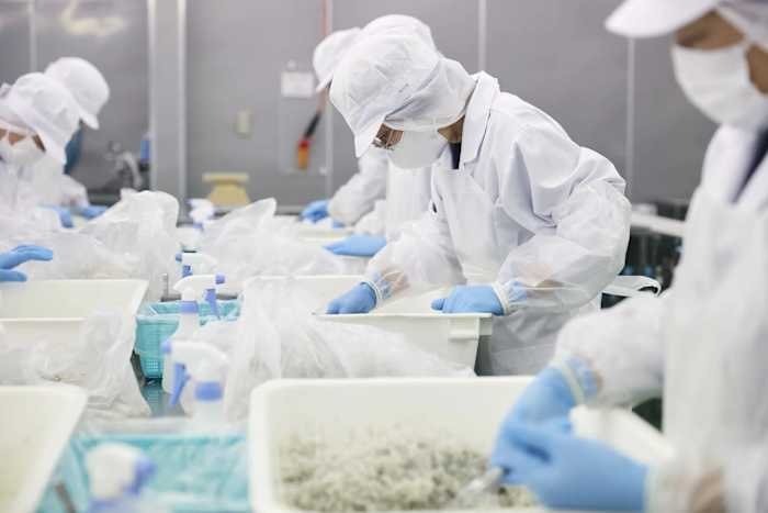Workers in white protective coats, caps, masks, and blue gloves sort and package products in plastic bags at a processing facility.