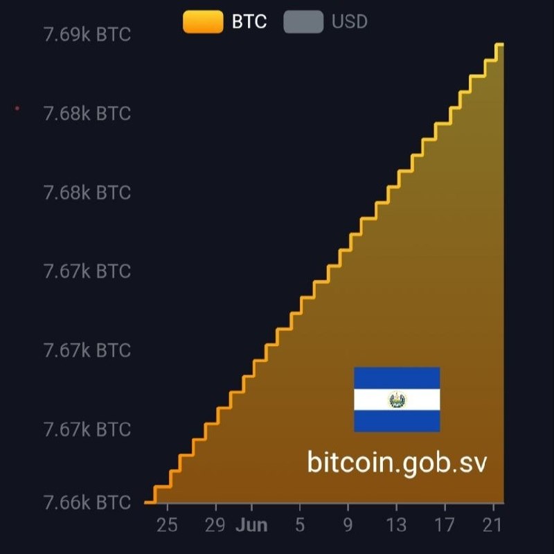 Two of the loudest corporate-Bitcoin experiments are pulling in opposite directions, and the market is starting to notice the difference between conviction and choreography.