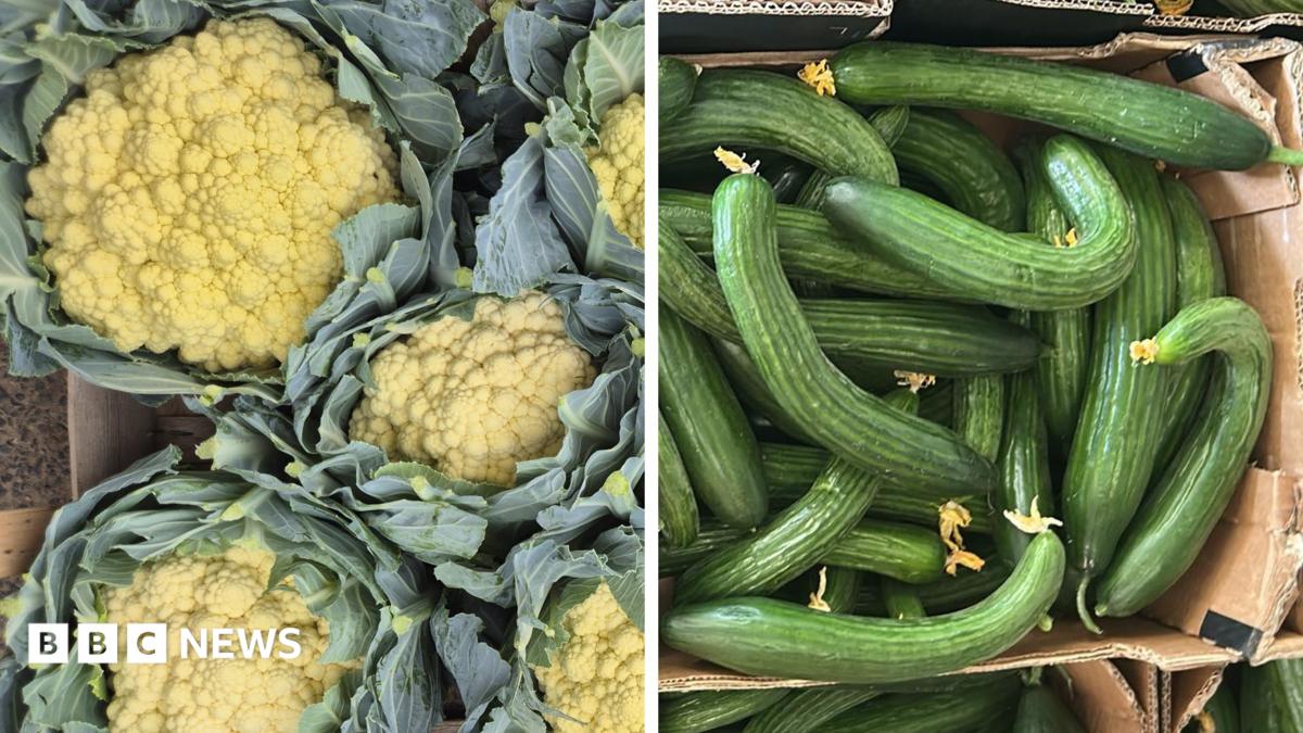 Polymarket moved 32 points in six hours on 20 June 2026, pricing Starmer’s survival near-certainty.