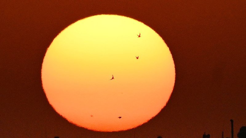 A large glowing orange sun sets against a dark sky, with several small silhouetted birds flying across its bright face.