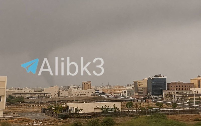 A dark funnel-shaped cloud descends from a gray sky over a sprawling city skyline with low-rise buildings, roads, and sparse vegetation.