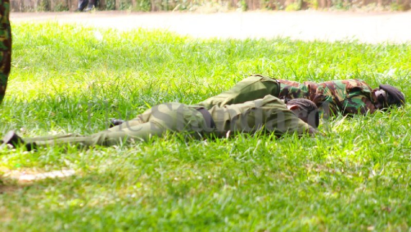 Two people in camouflage and green uniforms lie face-down in tall grass, with a faint "PressTV" watermark visible across the image.