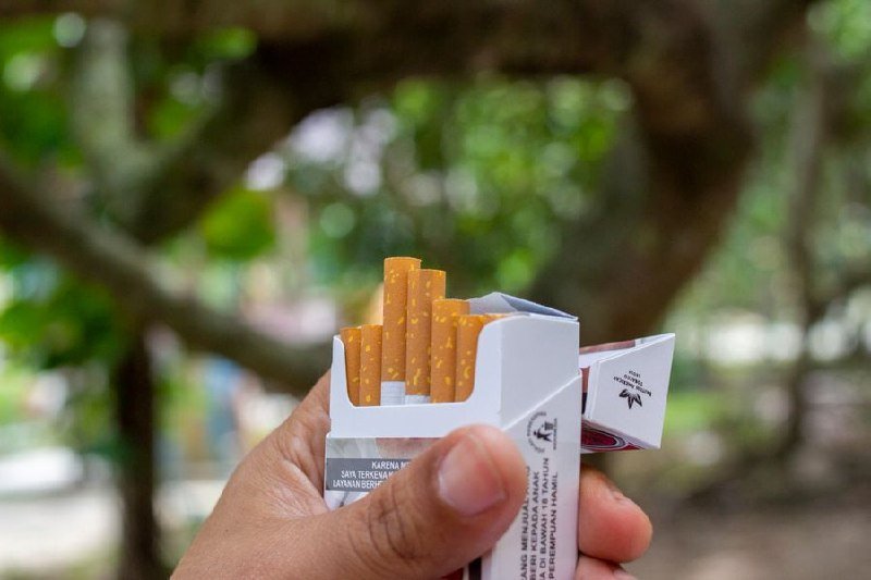 A hand holds an open pack of orange-filtered cigarettes with a health warning label visible, set against a blurred background of tree foliage.