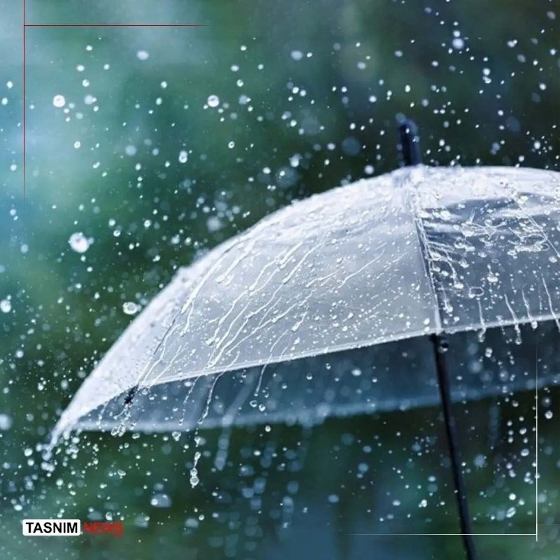 A transparent umbrella shields against heavy rainfall, with water droplets cascading off its surface against a blurred green background.