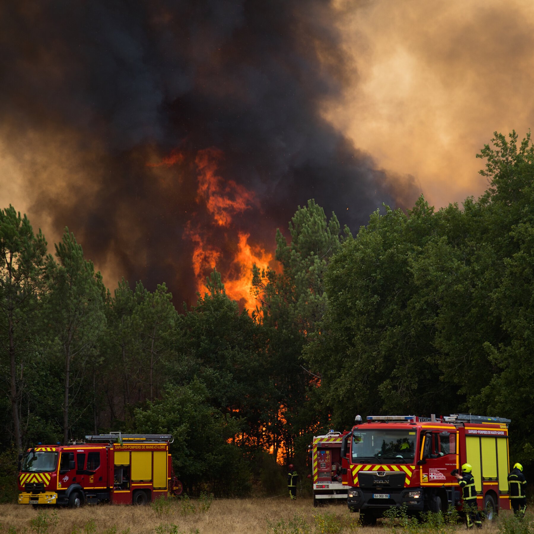 Firefighters in protective gear stand beside two red fire engines as flames and thick smoke engulf a forest in the background.
