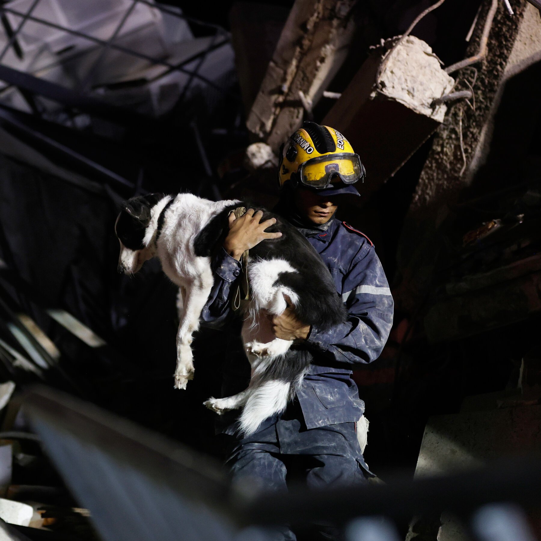 A rescue worker in a yellow helmet carries a black and white dog through rubble at night.