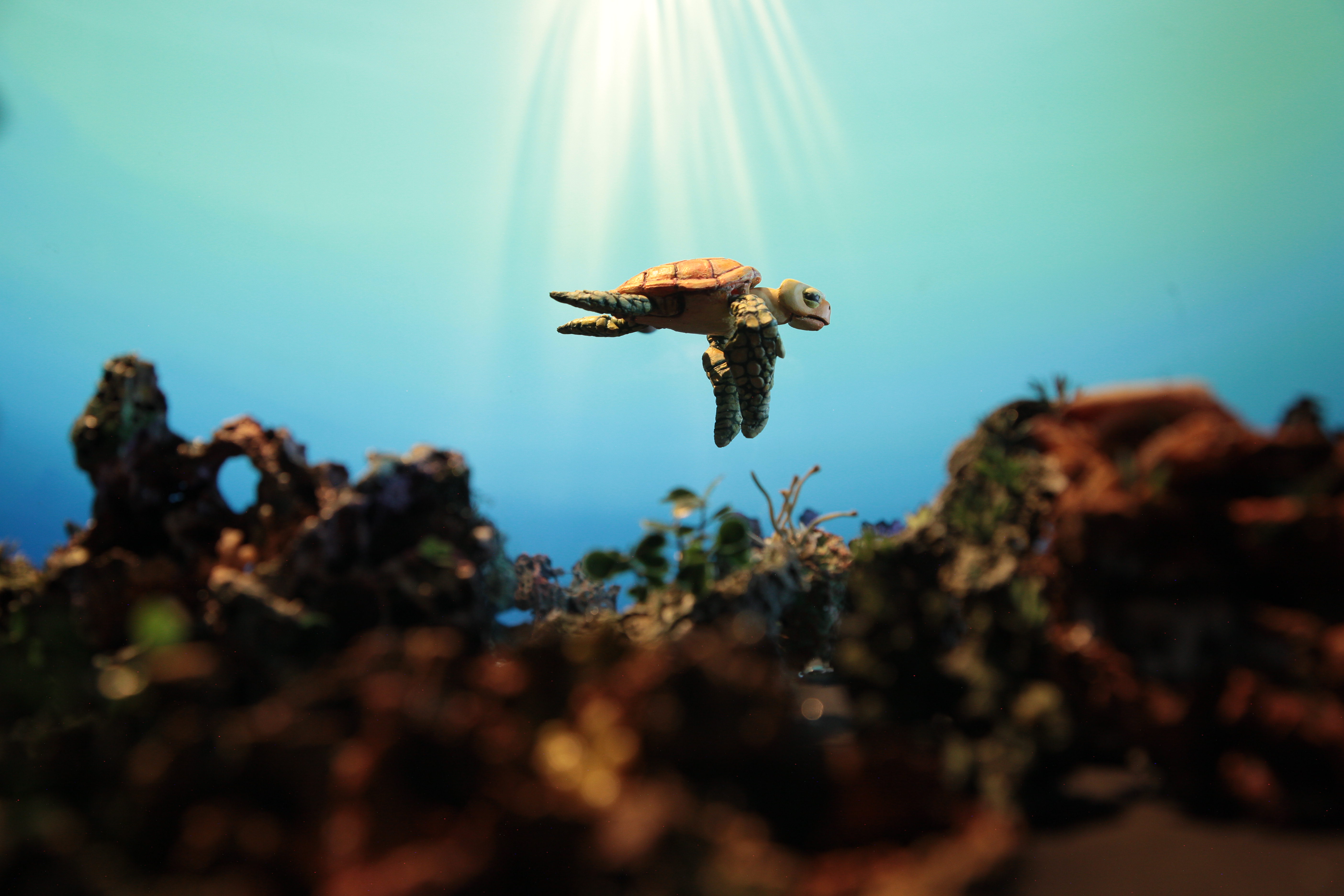 The world's most prestigious animation festival will hand its 2027 spotlight to Colombia, formalising a Latin American industry that has spent a decade quietly outgrowing the market's stereotypes.
