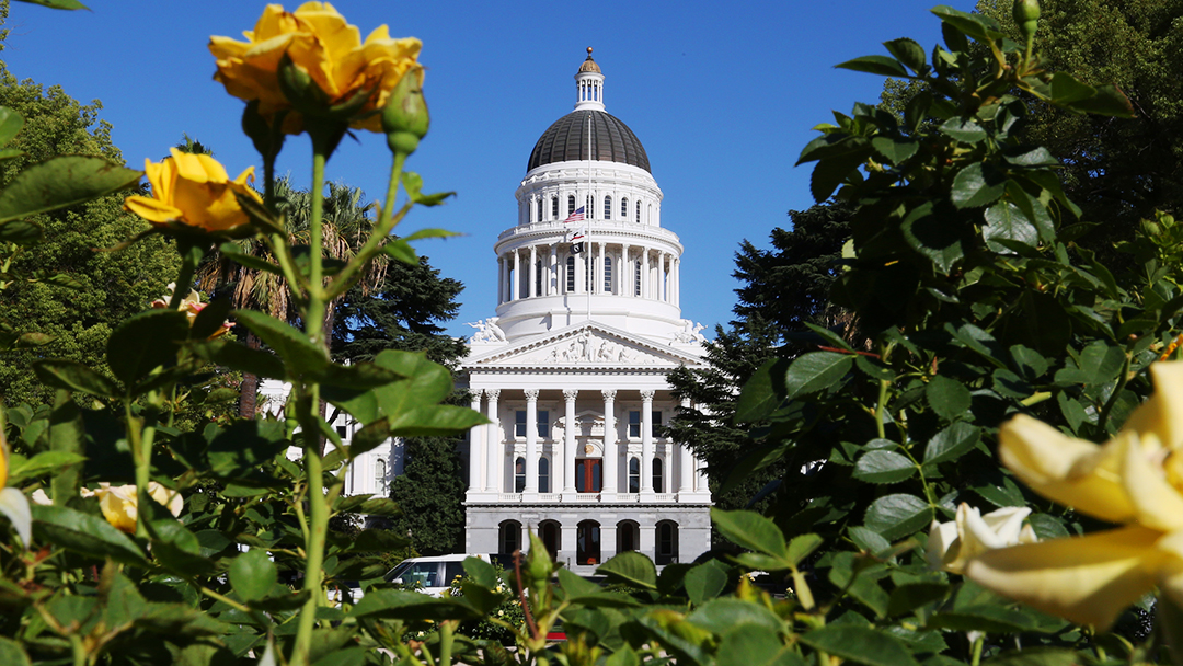 Sacramento just passed a $351.7 billion budget with a new digital-software levy, while a billionaire tax heads to November — and the governor is openly gambling on a national version he has no power to deliver.