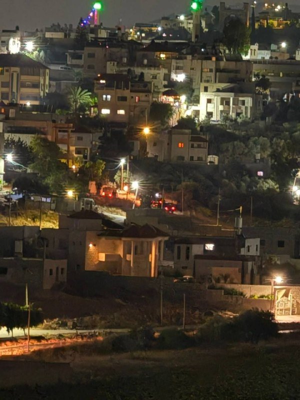 Israeli forces bulldozed olive groves in the village of Zububa, west of Jenin, on 28 June 2026.