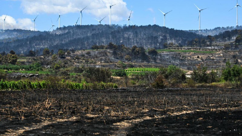 Wind turbines line a forested ridgeline under a partly cloudy sky, overlooking a burned landscape with patches of green vegetation in the foreground.
