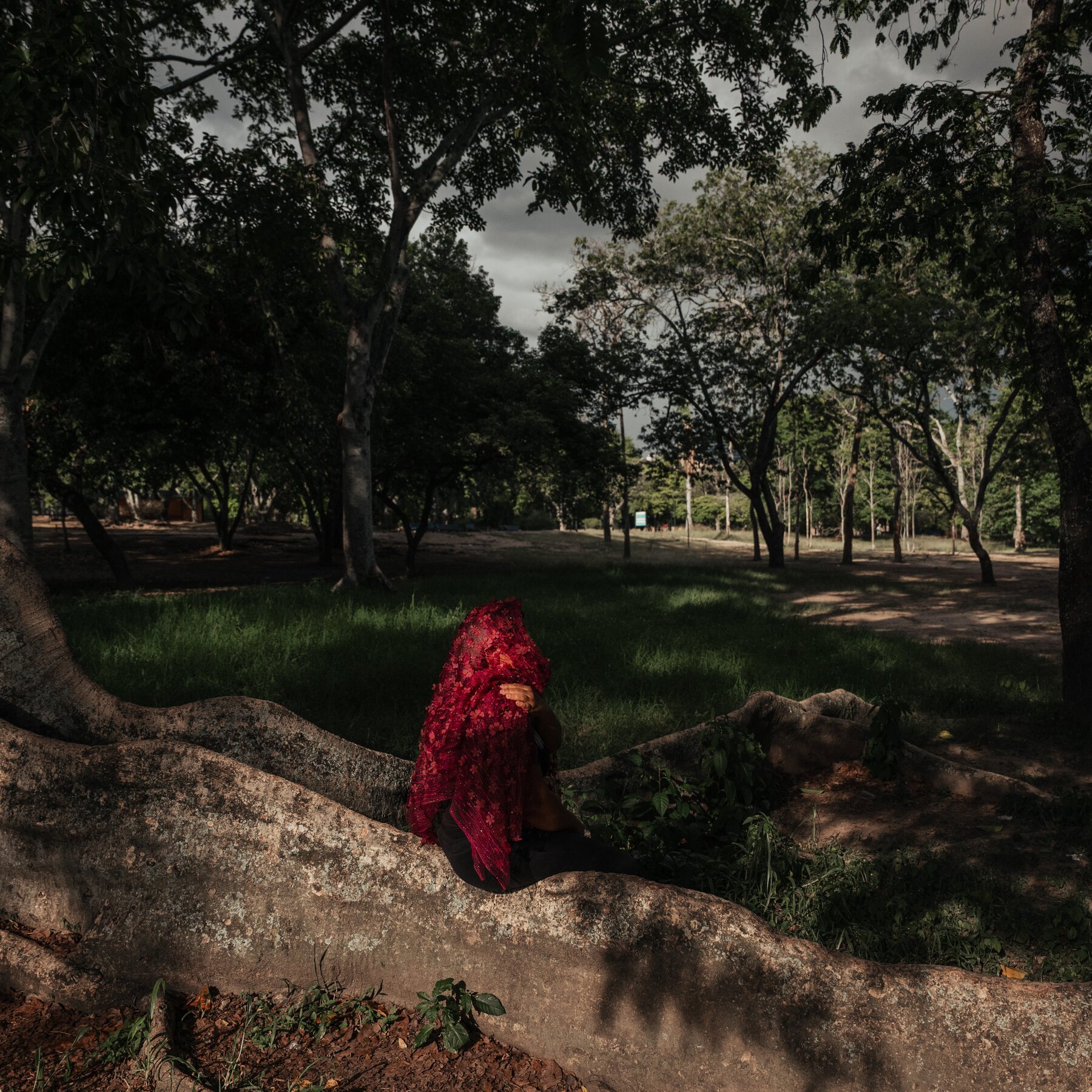 A person draped in a red lacy veil sits among the large exposed roots of a tree in a wooded park under a cloudy sky.