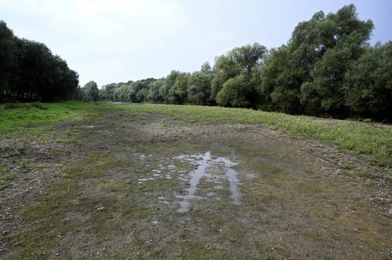 A muddy, partially flooded dirt clearing sits surrounded by dense green trees under a hazy sky, with puddles reflecting light in the foreground.
