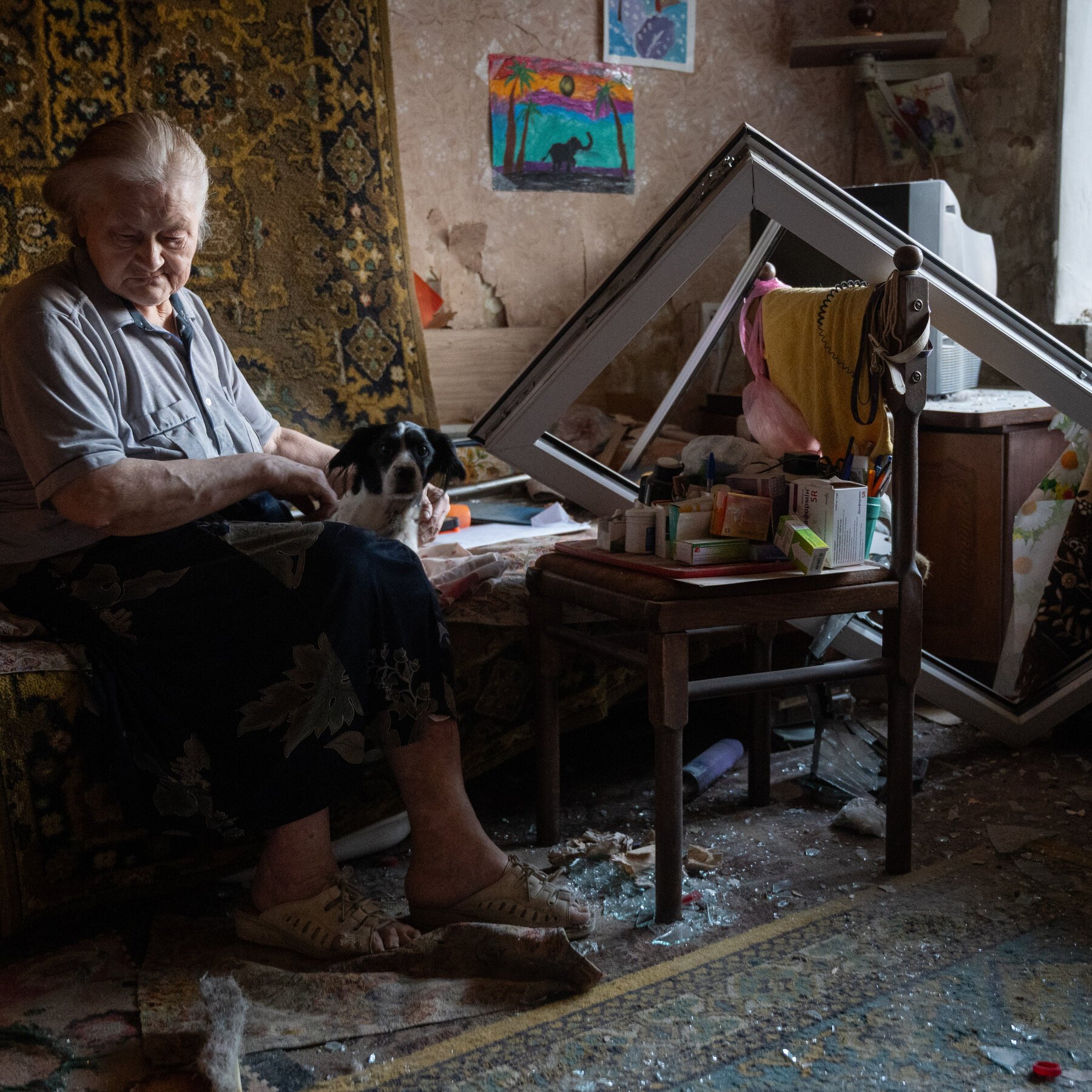 An elderly woman sits barefoot holding a black-and-white dog beside a table covered with medicine boxes, inside a damaged room with broken glass scattered across rugs.