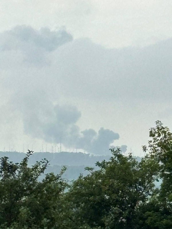 Gray smoke rises from a distant hillside above a foreground of green tree branches under an overcast sky.