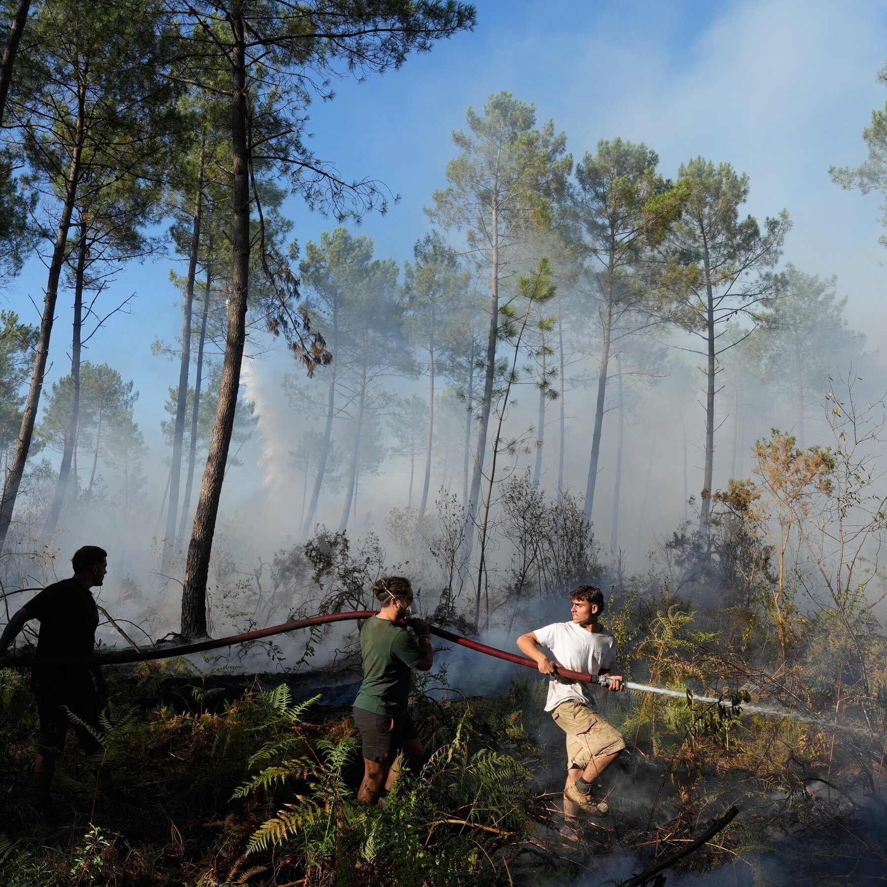 Three people work together spraying water from a hose onto smoldering ground covered in ferns and charred vegetation in a smoke-filled pine forest.