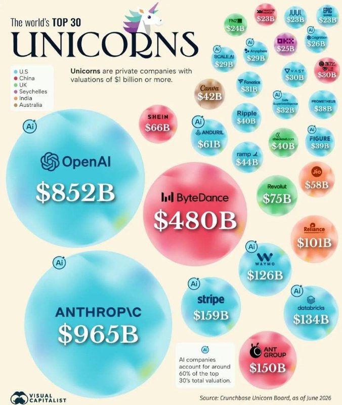 An infographic titled "The world's TOP 30 UNICORNS" displays private companies with valuations of $1 billion or more as colored bubbles, with OpenAI ($852B) and Anthropic ($965B) shown largest, sourced from Crunchbase as of June 2026.