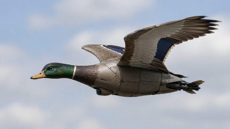 A duck decoy with a green head and outstretched wings flies against a partly cloudy sky.