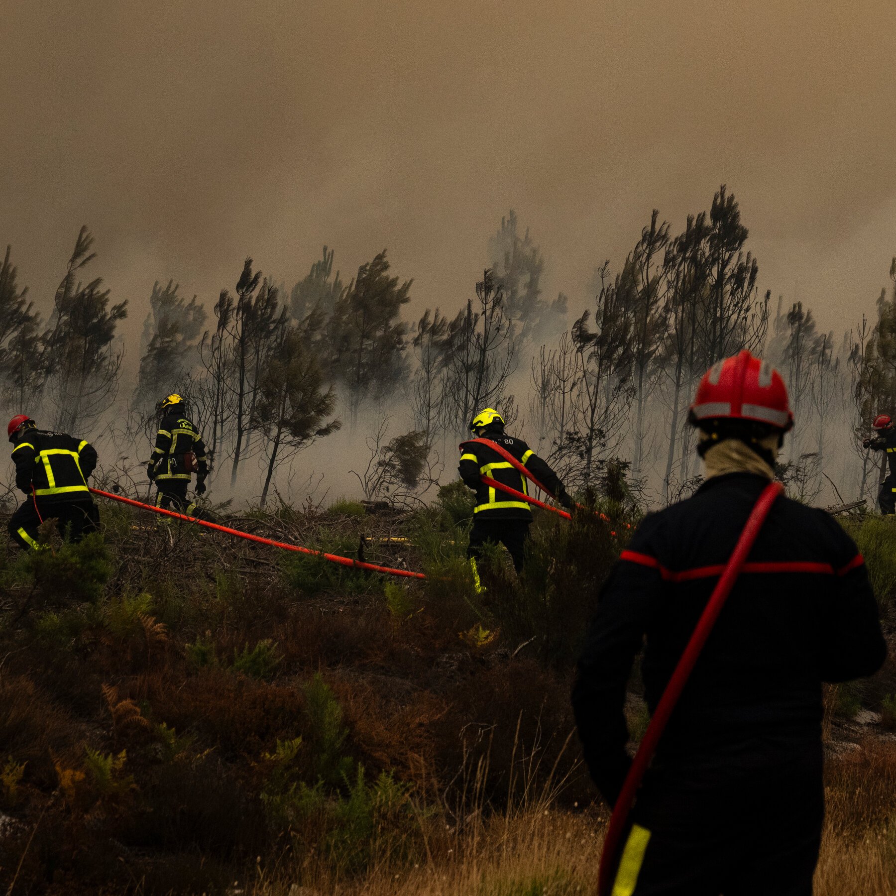 Firefighters in protective gear carry hoses toward a smoke-filled forest under an orange-hazed sky.